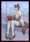 anthro beastars book brown_body brown_fur canid canine canis chelodoy clothing detailed_background female footwear fur hi_res juno_(beastars) legwear mammal reading shoes sitting solo stockings wolf 