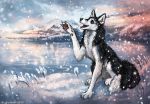  2020 4_toes ambiguous_gender black_body black_fur canid canine canis claws day detailed_background digital_media_(artwork) domestic_dog feral flashw fur husky mammal nordic_sled_dog open_mouth outside paws sky smile snow snowing solo spitz teeth toes tongue white_body white_fur 
