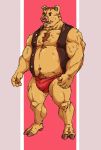  2020 animal_crossing anthro belly brown_body brown_fur bulge clothing domestic_pig fur hi_res humanoid_hands kemono kevin_(animal_crossing) kounfuyu male mammal musclegut nintendo nipples overweight overweight_male solo suid suina sus_(pig) underwear video_games 