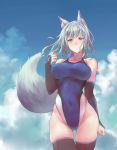  1girl animal_ear_fluff animal_ears black_legwear blue_sky blue_swimsuit breasts bridal_gauntlets cloud competition_swimsuit covered_navel cowboy_shot day fox_ears fox_girl fox_tail highleg highleg_swimsuit large_breasts long_hair looking_at_viewer one-piece_swimsuit original sawaya_(mizukazu) silver_hair sky solo standing swimsuit tail thighhighs yellow_eyes 