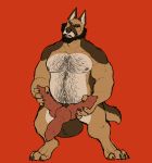  animal_genitalia animal_penis anthro balls beard big_balls canid canine canine_penis canis domestic_dog douglas_kim facial_hair genitals german_shepherd hairy herding_dog hi_res huge_balls hyper hyper_genitalia knot male mammal multi_genitalia multi_penis muscular nipples pastoral_dog penis solo 