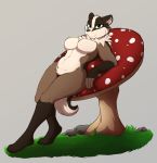  4_toes 5_fingers anthro badger black_body black_fur black_nose breasts brown_body brown_fur featureless_breasts female fingers fungus fur grass green_eyes hi_res infinitedge2u mammal mushroom mustelid musteline smile solo toes 