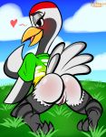  &lt;3 2020 all_fours animal_crossing anthro anus avian bird bottomless butt clothed clothing crane_(bird) female genitals gladys_(animal_crossing) green_clothing green_shirt green_topwear gruiform grus_(genus) hi_res looking_at_viewer looking_back looking_back_at_viewer nintendo outside presenting presenting_anus presenting_hindquarters presenting_pussy protagon pussy rear_view red-crowned_crane shirt solo t-shirt topwear video_games 