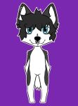  anthro black_body black_eyeshadow black_fur black_hair blue_eyes bridge_piercing canid canine canis cross domestic_dog ear_piercing emo_hair emo_haircut emo_hairstyle eyeshadow facial_piercing funko_pop! fur hair hi_res husky lalymun makeup male mammal nordic_sled_dog nose_piercing piercing rivey_ravenheart septum_piercing solo spitz white_body white_fur 