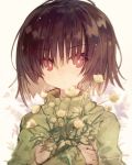  1other androgynous artist_name bangs blunt_bangs bright_pupils buttercup_(flower) chara_(undertale) english_commentary expressionless eyebrows_visible_through_hair eyes_visible_through_hair flower green_sweater hair_between_eyes holding holding_flower kasuga_haruhi light_particles long_sleeves red_eyes short_hair signature simple_background sleeves_past_wrists solo spoilers sweater undertale white_background white_pupils 