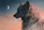  2020 ambiguous_gender black_nose canid canine canis digital_media_(artwork) feral fur grey_body grey_fur mammal moon night outside sky solo tan_eyes wolf wolfsroad 