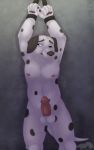  10:16 anthro bdsm bondage bound canid canine canis captive chubby_male cuffs_(disambiguation) dalmatian domestic_dog dungeon erection genitals hi_res male mammal nervous penis solo thatblackfox_(artist) 