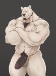  abs absurd_res anthro balls beard blue_eyes body_hair chest_hair crossed_arms facial_hair fur genitals grey_background hi_res humanoid_genitalia humanoid_penis male mammal muscular muscular_anthro muscular_male nude pecs penis pubes simple_background soji_gr solo ursid white_body white_fur 