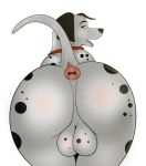  101_dalmatians anatomically_correct anatomically_correct_genitalia animal_genitalia anus balls big_butt butt canid canine canis collar dalmatian digital_media_(artwork) disney domestic_dog feral fur genitals hi_res kaze~inu looking_back male mammal open_mouth pongo presenting red_collar simple_background solo spots_(marking) tongue tongue_out 