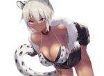 1girl animal_ears bangs bikini bikini_top black_jacket blush breasts cait_aron character_request cleavage collar collarbone dark_skin dark_skinned_female eyelashes feet_out_of_frame front-tie_top fur_trim glasses jacket large_breasts leaning_forward leopard_ears leopard_tail looking_at_viewer pink_eyes short_hair sidelocks simple_background smile snow_leopard solo swimsuit tail virtual_youtuber white_background white_hair 