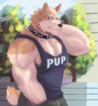  2020 anthro biceps black_nose canid canine canis clothed clothing domestic_dog fur hi_res male mammal multicolored_body multicolored_fur muscular muscular_male naikuma simple_background solo topwear 