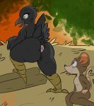  anthro anus avian big_butt bird breasts butt corvid corvus_(genus) crow duo female genitals hi_res male mammal murid murine oscine passerine pussy rat rodent zabish 