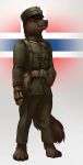  2018 anthro bag belt blue_eyes blue_nose brown_body brown_fur canid canine canis clothing domestic_dog eyebrows flag_background fluffy fluffy_tail fur gloves gradient_background handwear hat headgear headwear hi_res looking_up male mammal military military_cap military_clothing military_pants military_uniform norway norwegian_flag pimpartist simple_background solo traditional_media_(artwork) uniform world_war_2 