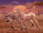  cloud duo equid equine female feral jenery male male/female mammal mountain savanna sunset tree walking zebra 