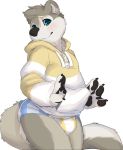  alpha_channel anthro black_nose blue_eyes blush clothing diaper fluffy fluffy_tail fur grey_body grey_fur grey_hair hair hoodie looking_at_viewer lutrine male mammal mustelid pawpads paws seth-iova simple_background solo standing teeth topwear white_body white_fur 