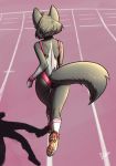  armband canid canine clothing feretta footwear fox fur grey_body grey_fur hi_res jogging mammal rear_view red_fox running shoes silver_fox socks spandex tight_clothing vix_(feretta) 