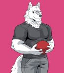  2020 anthro canid canine canis clothing digital_media_(artwork) fur hi_res male mammal muscular muscular_anthro muscular_male naikuma shirt simple_background solo topwear wolf 