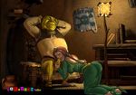  princess_fiona shrek tagme 