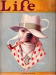  1927 anthro black_nose brown_eyes bust_portrait canid canine canis clothed clothing cover domestic_dog dress_shirt english_text fedora fur gentleman hat headgear headwear hi_res life_(magazine) looking_at_viewer magazine_cover male mammal necktie painting_(artwork) pattern_clothing pipe pit_bull plaid polka_dots portrait shawl shirt simple_background smoke smoking smoking_pipe solo spots spotted_clothing text topwear traditional_media_(artwork) watercolor_(artwork) white_body white_fur william_rannells 