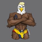  1:1 2020 abs accipitrid accipitriform anthro arm_tuft avian beak big_bulge bird blonde_hair bulge clothing crossed_arms eagle grey_background hair hi_res looking_at_viewer male mr._frenzy muscular muscular_anthro muscular_male navel neck_tuft pubes shoulder_tuft simple_background solo speedo standing swimwear tuft 