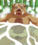 2024 anthro balls bamboo bathing belly big_belly brown_body brown_fur detailed_background eyes_closed eyewear fur genitals glasses hi_res humanoid_hands kemono male mammal moobs overweight overweight_male penis siroihigenokoi sitting solo suid suina sus_(pig) wild_boar