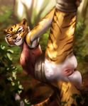  anthro clothed clothing dreamworks felid feline female flexible forest genitals hi_res humanoid_genitalia humanoid_pussy kung_fu_panda mammal master_tigress noitro one_leg_up pantherine presenting pussy raised_leg smile solo splits spread_legs spreading tiger tree vertical_splits 