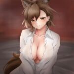  1girl animal_ears arknights breasts brown_eyes brown_hair collarbone commentary large_breasts long_sleeves mameppu penance_(arknights) shirt solo tail upper_body white_shirt wolf_ears wolf_tail 