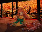  1girl akiokami autumn_leaves cat closed_eyes folding_fan green_eyes hand_fan hat japanese_clothes kimono kirara_(hitominak3) necolumbus sitting telescope youkai_(youkai_watch) youkai_watch 