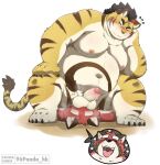 2023 96panda ailurid anthro balls belly big_belly duo erection facesitting felid genitals hi_res hitachi_(tamacolle) kemono male mammal moobs musk navel nipples overweight overweight_male pantherine penis red_body red_panda sitting_on_another tamacolle tiger
