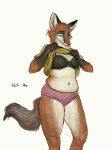 2020 alison_denisman anthro belly bra canid canine cettus clothed clothing clothing_lift female fox fur hi_res holding_clothing holding_object looking_down looking_down_at_self mammal navel orange_body orange_fur panties partially_clothed shirt shirt_lift simple_background slightly_chubby slightly_chubby_anthro slightly_chubby_female solo standing tail topwear underwear white_background white_body white_fur