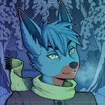 anthro blue_body blue_fur canid canine clothed clothing fennec fox fur green_eyes henkas male mammal scarf solo thestarbear