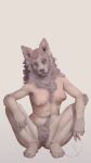 absurd_res amber_eyes animal_head armpit_hair body_hair breasts canid canine crouching danicommissions female for_a_head hi_res humanoid looking_at_viewer mammal navel nipples plantigrade pubes smile smiling_at_viewer smirk smirking_at_viewer solo