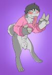 animal_genitalia anthro balls blush bottomless clothed clothing clothing_lift exhibitionism genitals gesture hi_res hoodie hoodie_only male mikey6193 mikey_(mikey6193) sheath solo tongue tongue_out topwear topwear_only v_sign