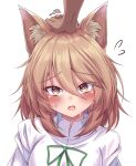  1girl 1other animal_ear_fluff animal_ears blonde_hair blush close-up commentary flying_sweatdrops fox_ears fox_girl frown green_ribbon hair_between_eyes headpat highres kudamaki_tsukasa looking_at_viewer medium_hair motion_lines open_mouth pov pov_hands ribbon shy simple_background siw0n solo_focus straight-on sweatdrop textless_version touhou tsurime upturned_eyes white_background white_romper 