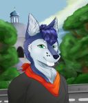 absurd_res anthro black_clothing black_shirt black_t-shirt black_topwear blue_body blue_fur blue_hair building canid canine canis church clothing fluffy_ears fox fur green_eyes hair hi_res hybrid jaycemutt looking_at_viewer male mammal portrait red_bandana ritoru_wolf road shirt sky smile solo standing t-shirt topwear whisker_dots white_body white_chest white_face white_fur wolf
