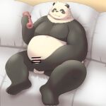 2024 anthro balls bear belly big_belly black_body black_nose detailed_background erection furniture genitals giant_panda hi_res kemono male mammal overweight overweight_male penis sex_toy sitting sofa solo tai_tanuki white_body
