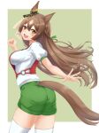  1girl animal_ears braid brown_hair clenched_hand commentary ear_scrunchie french_braid from_behind green_scrunchie green_shorts grey_background gym_shirt gym_shorts gym_uniform highres horse_ears horse_girl horse_tail kemuri_(etep3372) leaning_forward long_hair looking_at_viewer looking_back open_mouth orange_eyes satono_diamond_(umamusume) scrunchie shirt short_sleeves shorts smile solo standing t-shirt tail tail_through_clothes thighhighs umamusume very_long_hair white_shirt white_thighhighs wind 