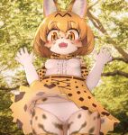 absurd_res alternate_species anthro bare_shoulders belt big_eyes biped black_body black_fur blush bottomwear breasts camel_toe clawed_fingers clothed clothing cute_fangs felid feline female frilly frilly_clothing fur furrification genitals gloves handwear hi_res inner_ear_fluff kemono kemono_friends legwear looking_at_viewer low-angle_view mammal markings open_mouth outside panties pattern_clothing plant pussy raised_hand serval serval-chan shirt short_snout skirt skirt_flip small_breasts solo spots spotted_body spotted_fur standing surprised_expression thigh_highs tongue topwear tree tuft underwear upskirt white_clothing white_gloves white_handwear white_panties white_shirt white_topwear white_underwear xanadu_corona yellow_body yellow_eyes yellow_fur
