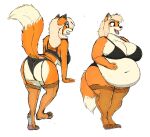 2024 anthro belly big_belly big_breasts biped blonde_hair bra breasts canid canine clothing female fox hair herro hi_res legwear lingerie mammal navel open_mouth overweight overweight_anthro overweight_female pantyhose paws simple_background solo standing torn_clothing torn_legwear torn_pantyhose underwear weight_gain white_background