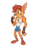  2020 activision alaynakgray anthro bandicoot bottomwear clothing crash_bandicoot crash_bandicoot_(series) crossgender female fingerless_gloves food fruit fur gloves handwear hi_res mammal marsupial mtf_crossgender orange_body orange_fur plant shorts simple_background solo tongue tongue_out video_games white_background wumpa_fruit 