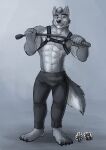  2023 4_toes 5_fingers abs anthro blue_eyes bottomwear canid canine canis claws clothing feet fingers fur grey_background grey_body grey_fur harness head_tuft hi_res hufnaar looking_at_viewer male mammal muscular navel plantigrade riding_crop shirtless signature simple_background smile solo tail toe_claws toes tuft whip wolf 