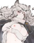  1girl animal_ear_fluff animal_ears arknights black_cloak blush braid breasts breasts_outside circlet cloak clothes_lift dal-gi eyebrows_visible_through_hair hair_between_eyes highres korean_commentary leopard_ears long_hair looking_at_viewer medium_breasts midriff navel nipples parted_lips pramanix_(arknights) side_braids silver_eyes silver_hair simple_background solo spotted_fur sweater sweater_lift twin_braids upper_body wavy_hair white_background white_sweater 