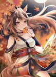  1girl absurdres animal_ears autumn_leaves blue_choker blurry blurry_foreground brown_hair chest_sarashi choker commentary_request depth_of_field highres horse_ears horse_girl japanese_clothes kimono long_hair long_sleeves looking_at_viewer multicolored_hair narusawa_(njzc2582) official_alternate_costume open_mouth outdoors purple_eyes sarashi smile solo standing streaked_hair symboli_rudolf_(archer_of_the_white_moon)_(umamusume) symboli_rudolf_(umamusume) tree umamusume white_hair white_kimono wide_sleeves 