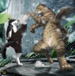  blurry cat clenched_teeth commentary_request dated depth_of_field dust_cloud fighting highres kicking leaf matataku motion_blur no_humans original outdoors parrying paws shadow signature standing standing_on_one_leg surprised_cat_(matataku) teeth whiskers 