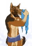  anthro athletic athletic_anthro athletic_male blonde_hair boxer_briefs brown_body brown_fur bulge canid canine canis chest_tuft clothing domestic_dog fluffy fluffy_tail frank-79 fur german_shepherd hair herding_dog hi_res long_hair male mammal pastoral_dog solo standing towel tuft underwear wet yellow_eyes 