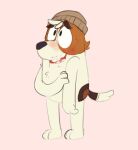 2024 anthro beanie black_eyes black_nose bluey_(series) blush brown_beanie brown_body brown_clothing brown_fur brown_hair brown_hat brown_headwear brown_tail canid canine canis clothing digital_media_(artwork) domestic_dog fur hair hand_on_arm hand_on_own_arm happy hat headgear headwear hunting_dog jack_russell_(bluey) jack_russell_terrier male mammal multicolored_body multicolored_fur multicolored_hair shaibey smile solo standing tail teeth terrier tongue two_tone_hair two_tone_tail white_body white_fur white_hair white_tail
