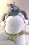 2024 absurd_res anthro belly big_belly black_body bulge clothing green_clothing green_underwear hi_res kemono male mammal moobs murid murine navel nipples nookdae overweight overweight_male pink_nose rat rodent solo underwear white_body