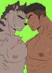  abs anthro big_muscles big_nipples big_pecs black_hair blood blush bodily_fluids chest_scar duo eye_contact face_to_face felid fur grin hair hi_res human human_on_anthro interspecies looking_at_another male male/male mammal muscular muscular_anthro muscular_human muscular_male nipples nosebleed nude pantherine pecs scar smile striped_body striped_fur stripes sweat ten_g89 tiger white_body white_fur 