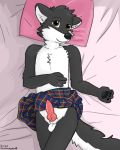  4:5 anthro balls bed bottomwear clothed clothing clothing_lift crossdressing davefluffy furniture genitals girly girly_clothing hi_res looking_at_viewer lying lying_in_bed male penis skirt skirt_lift solo 