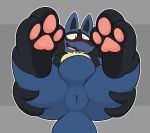  3_toes anthro anus backsack balls birdvian blush butt butt_grab foot_focus genitals hand_on_butt hi_res lucario male nintendo open_mouth paws pok&eacute;mon pok&eacute;mon_(species) presenting presenting_anus puffy_anus simple_background solo toes video_games 